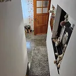 Ptasi