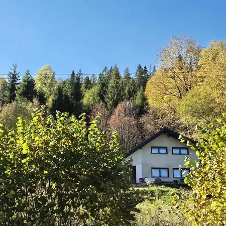 Ptasi * 슈차이르크