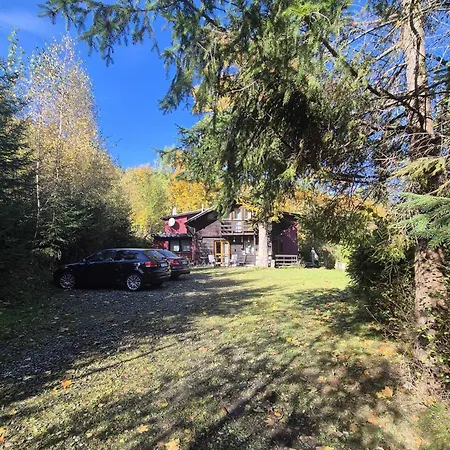 Ptasi * 슈차이르크